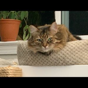 Meet your Posher, Alison